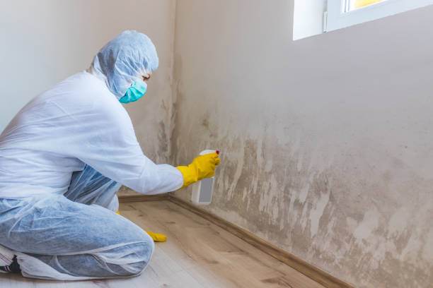 Hvac And Air Duct Mold Remediation inspection of HVAC system in Waldwick